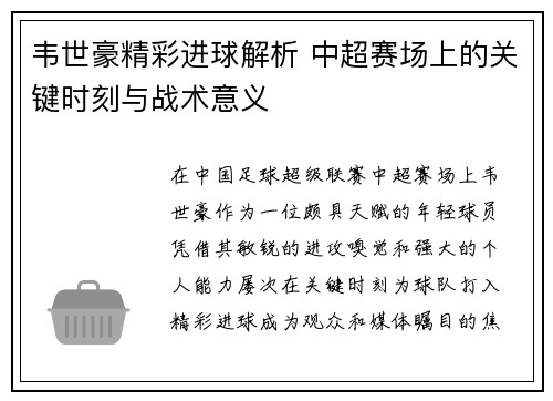 韦世豪精彩进球解析 中超赛场上的关键时刻与战术意义