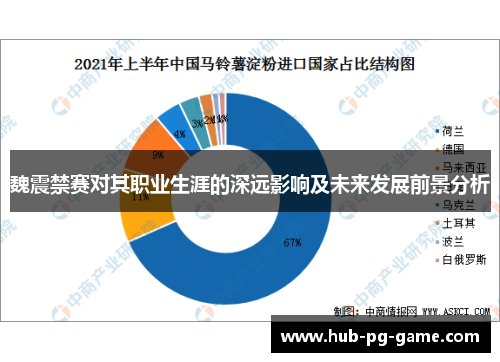 魏震禁赛对其职业生涯的深远影响及未来发展前景分析