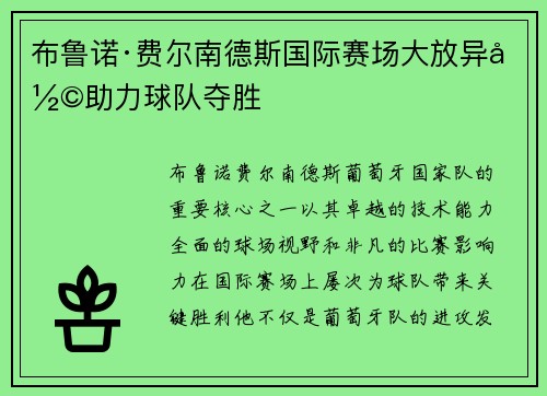布鲁诺·费尔南德斯国际赛场大放异彩助力球队夺胜